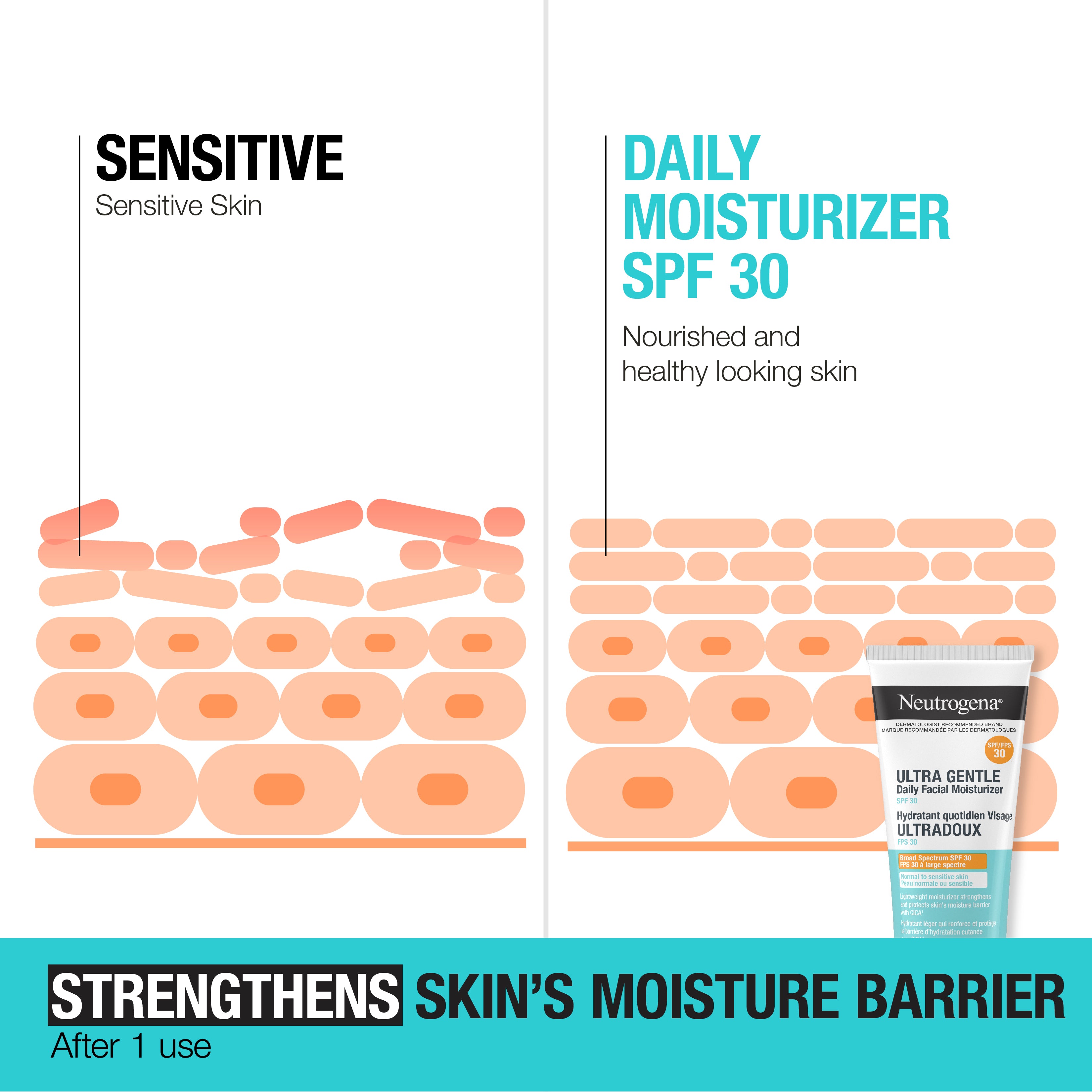 Neutrogena® Ultra Gentle Daily Facial Moisturizer SPF 30