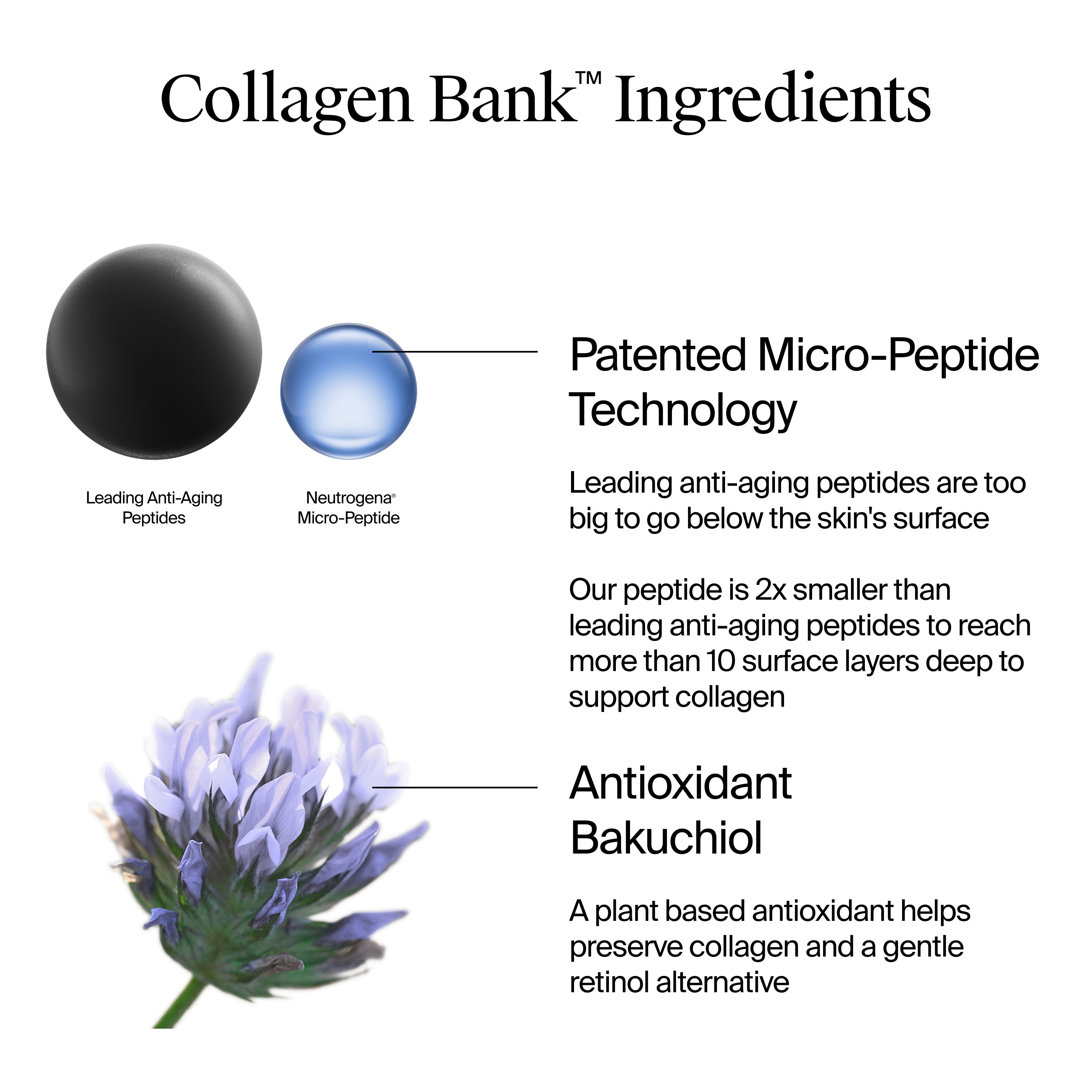 Neutrogena® Collagen Bank® Moisturizer